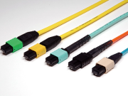 MPO Connectators